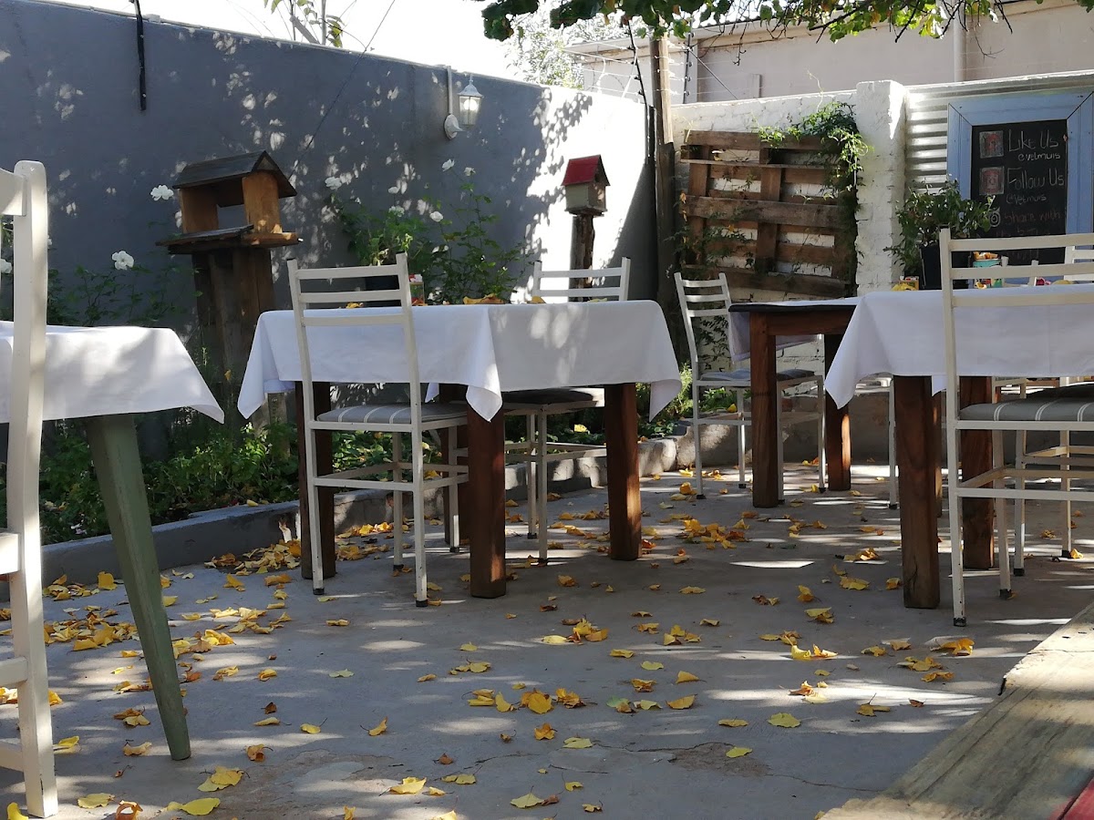 Vetmuis Plaaskombuis